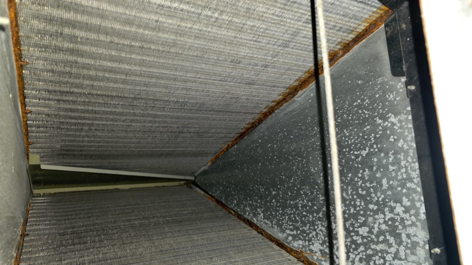 Home Therapist service photo in Tampa, FL 33609