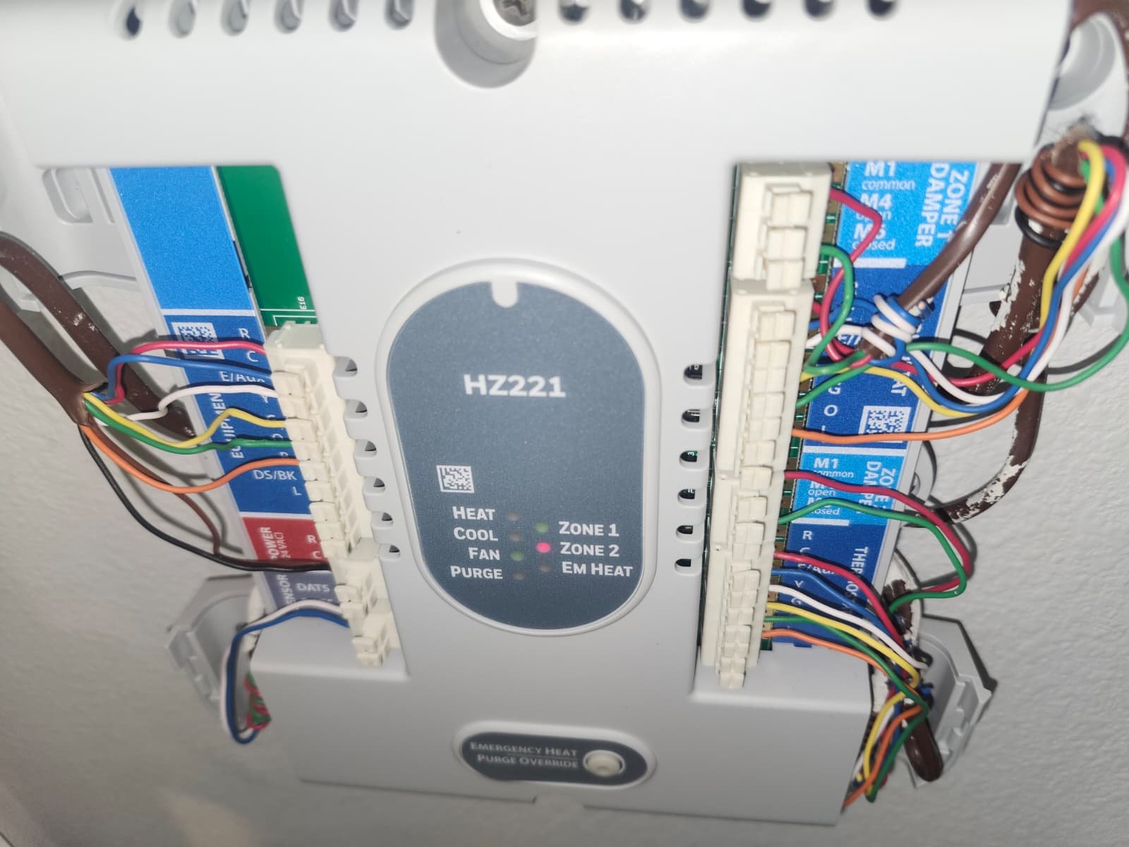 Home Therapist service photo in Lutz, FL 33558