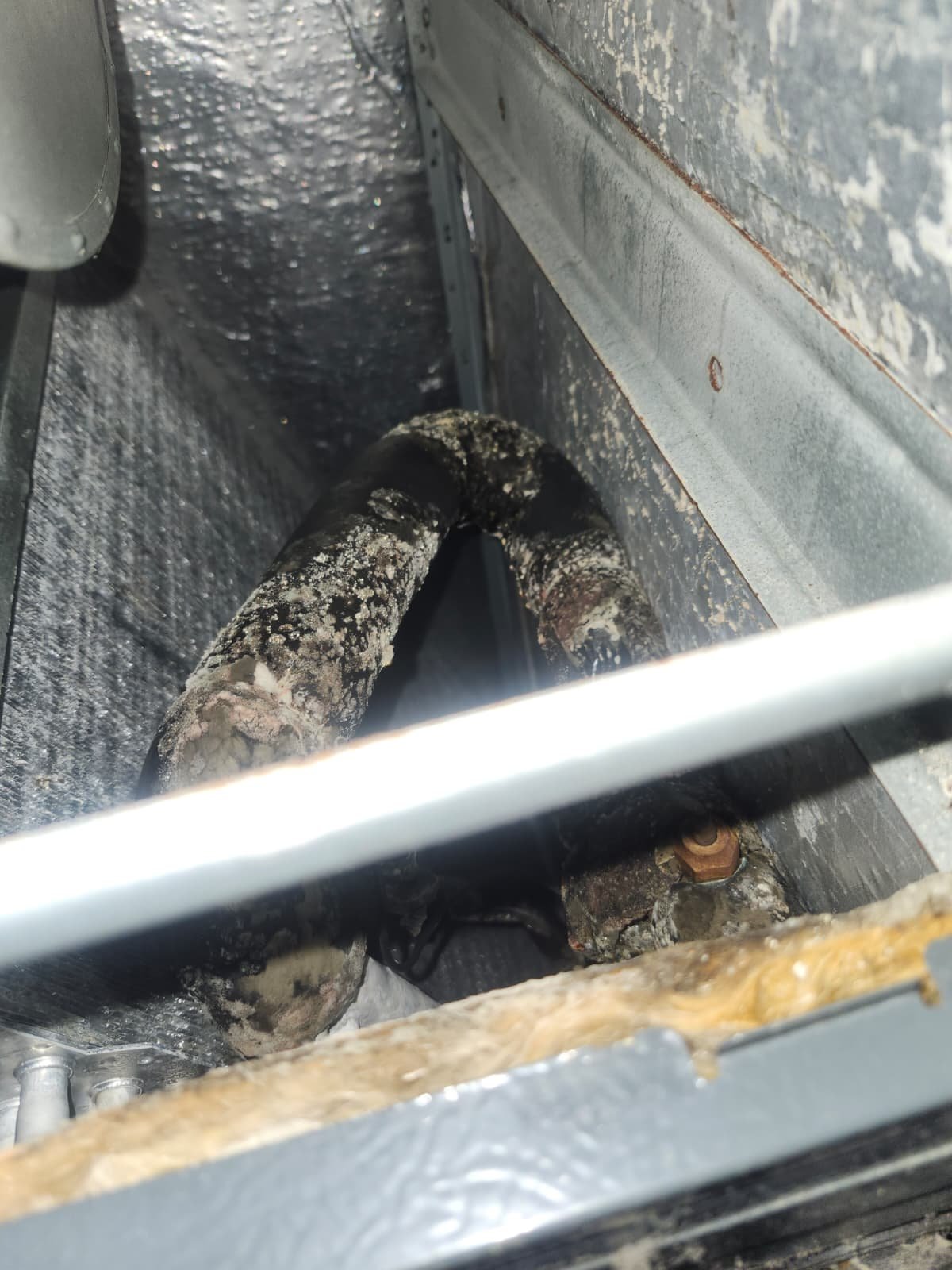 Home Therapist service photo in Lutz, FL 33558