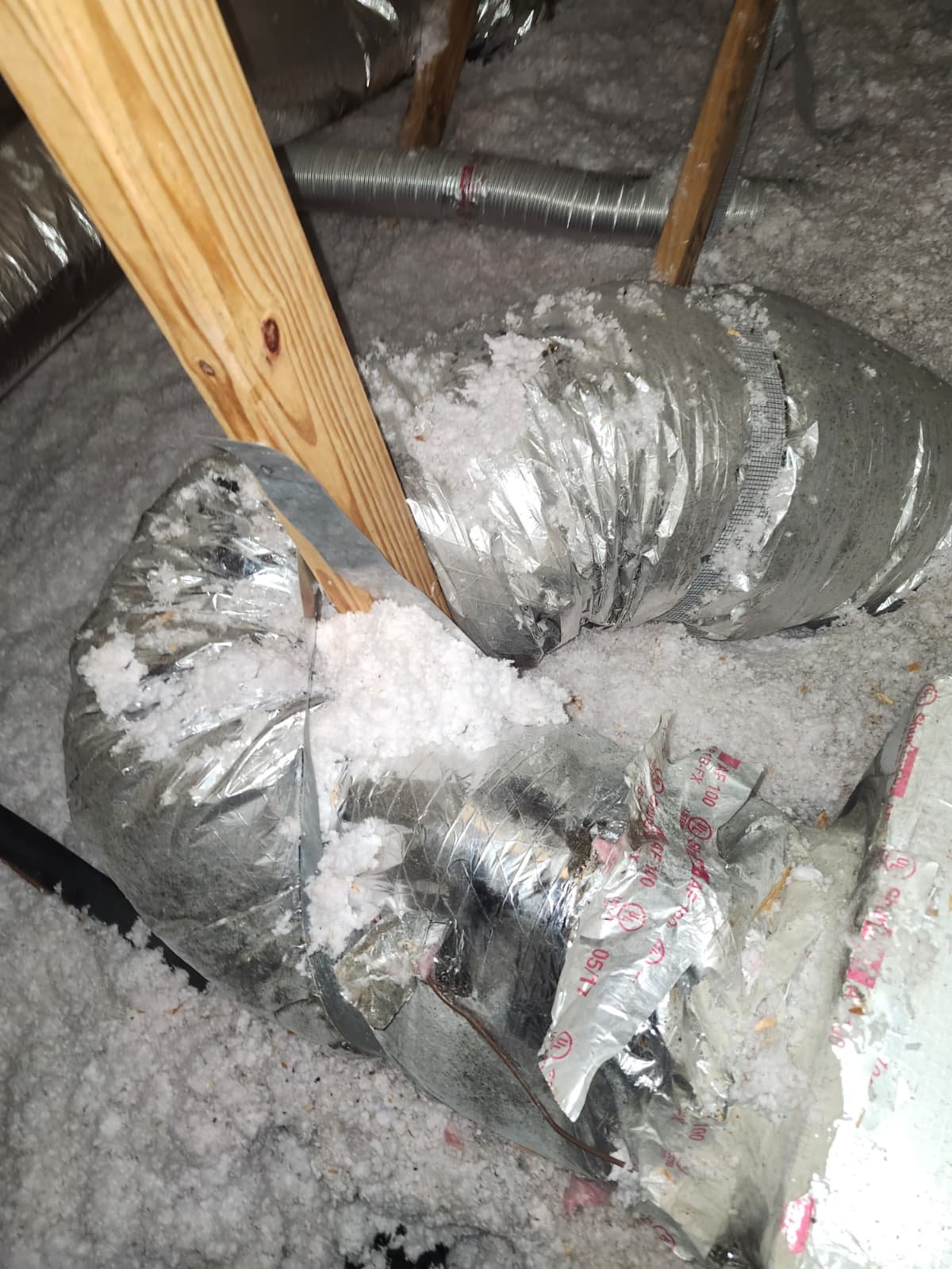 Home Therapist service photo in Lutz, FL 33558