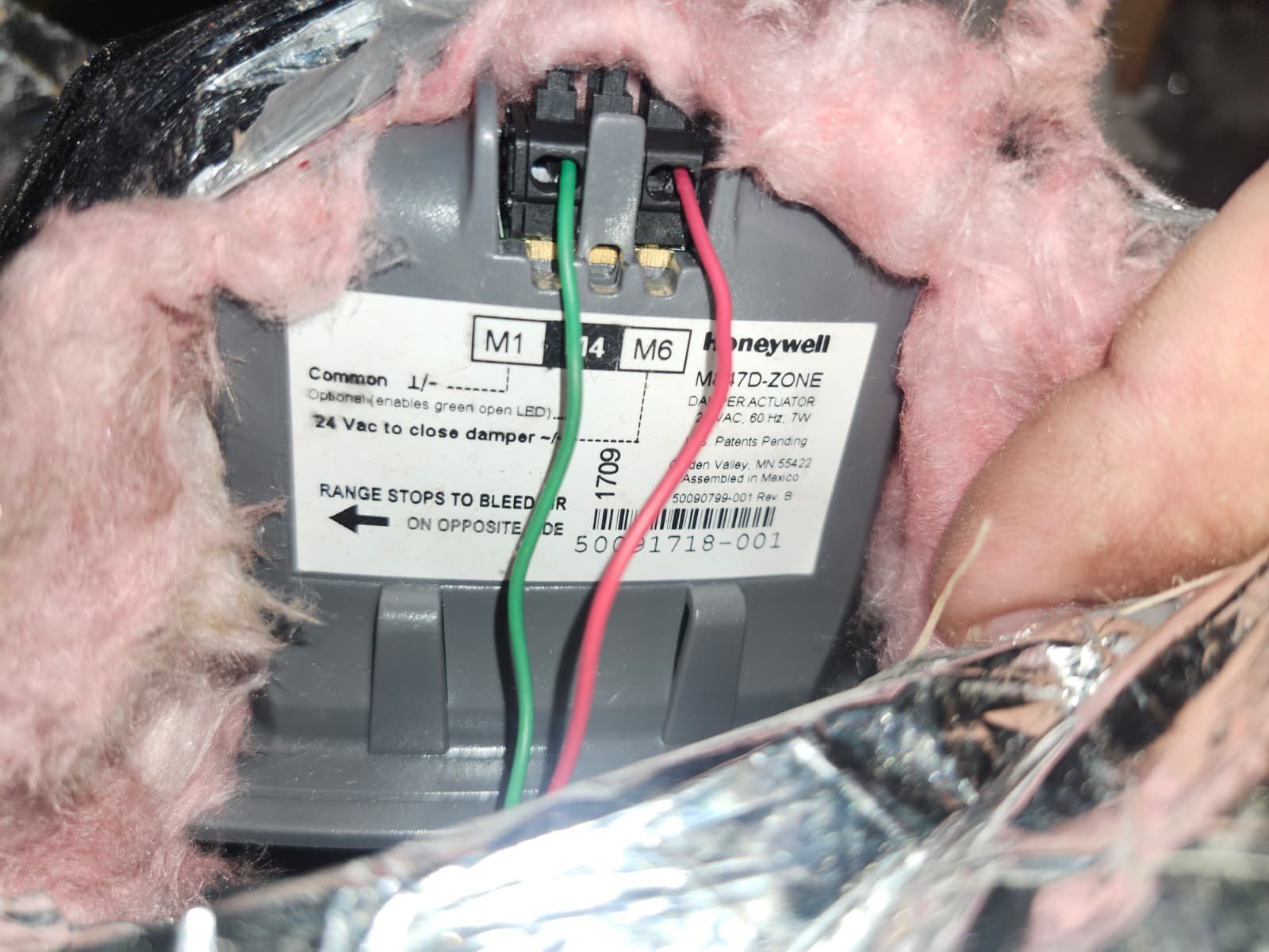 Home Therapist service photo in Lutz, FL 33558