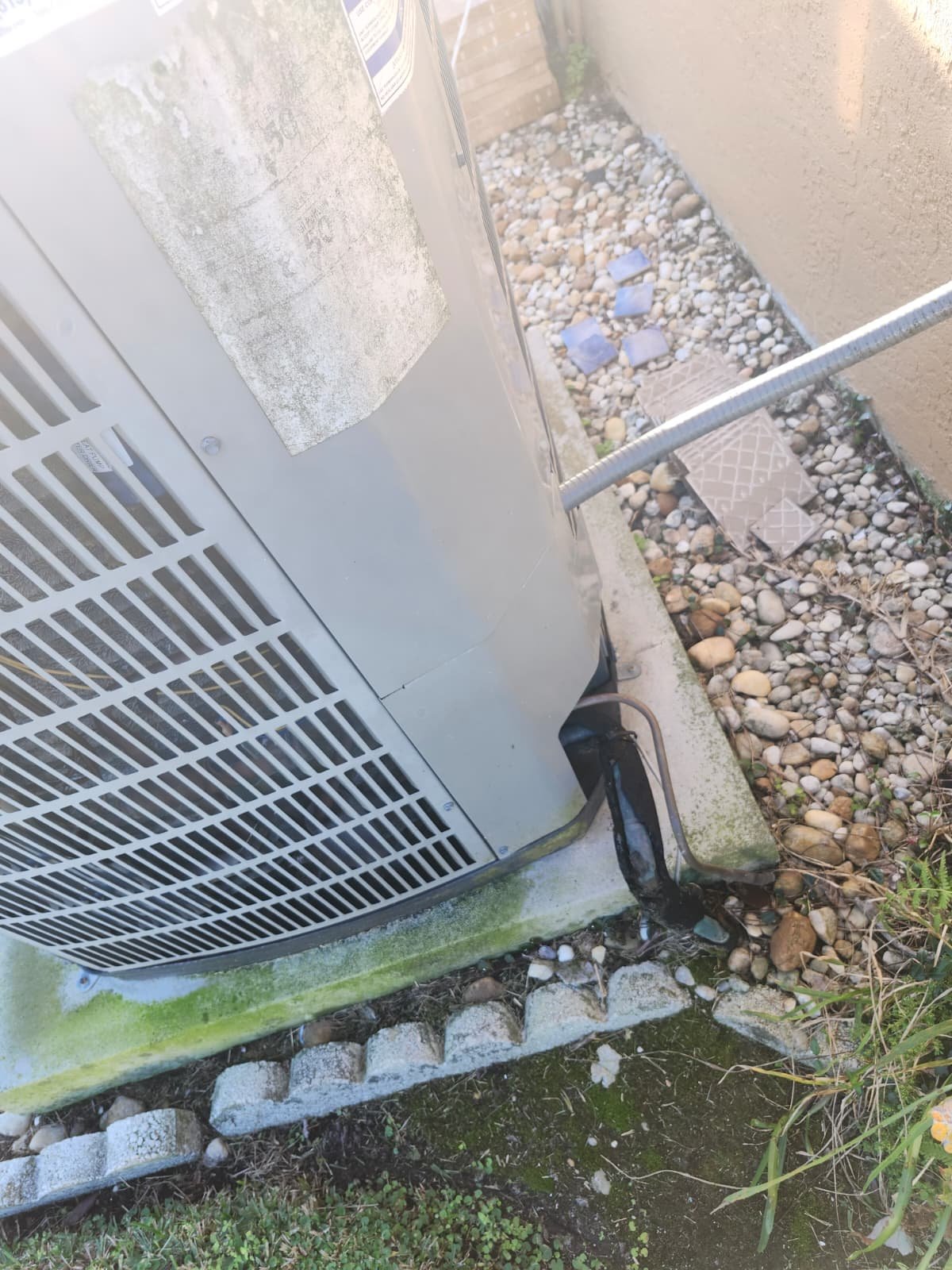 In-home therapy plan consultation environment in Lutz, FL 33558