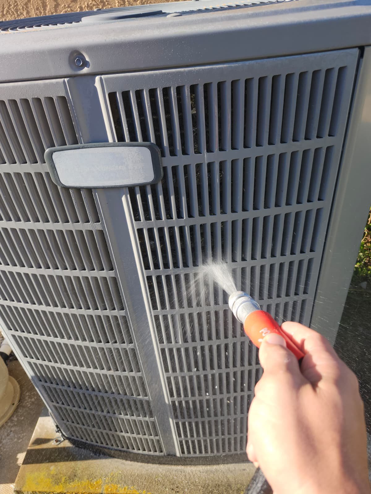 Home therapy plan services in living room setting in Lutz, FL 33558