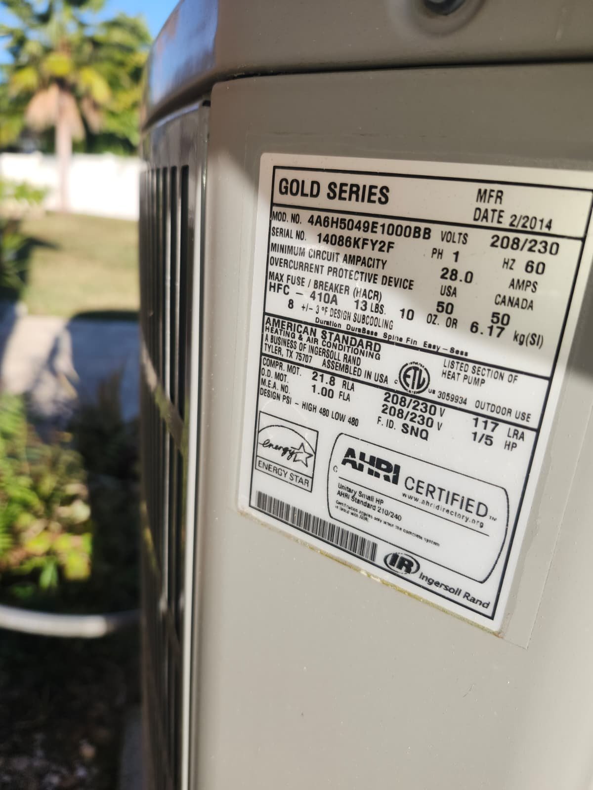 Comfort-focused home therapy plan setup in Lutz, FL 33558