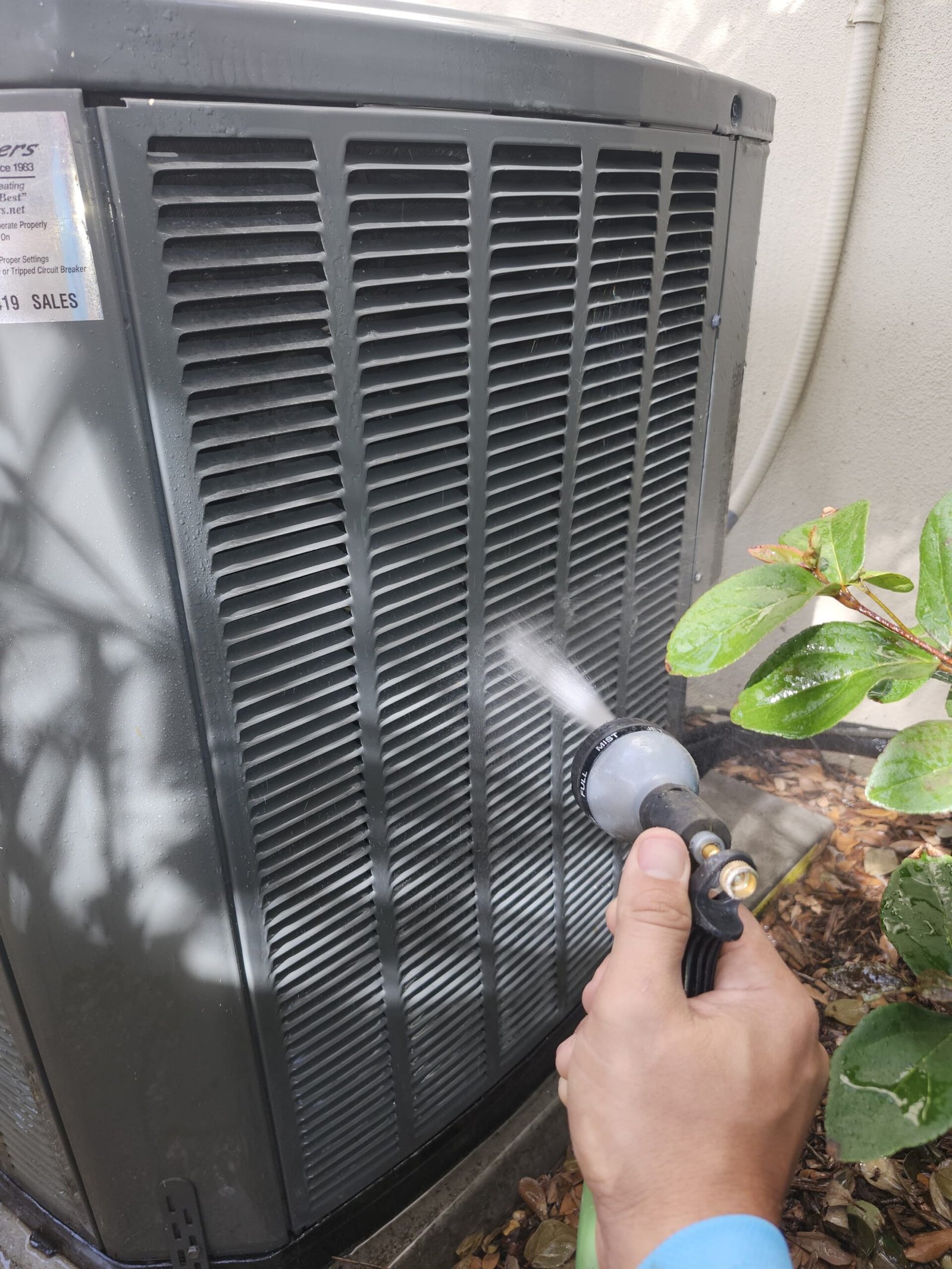 Home Therapist service photo in Tampa, FL 33606