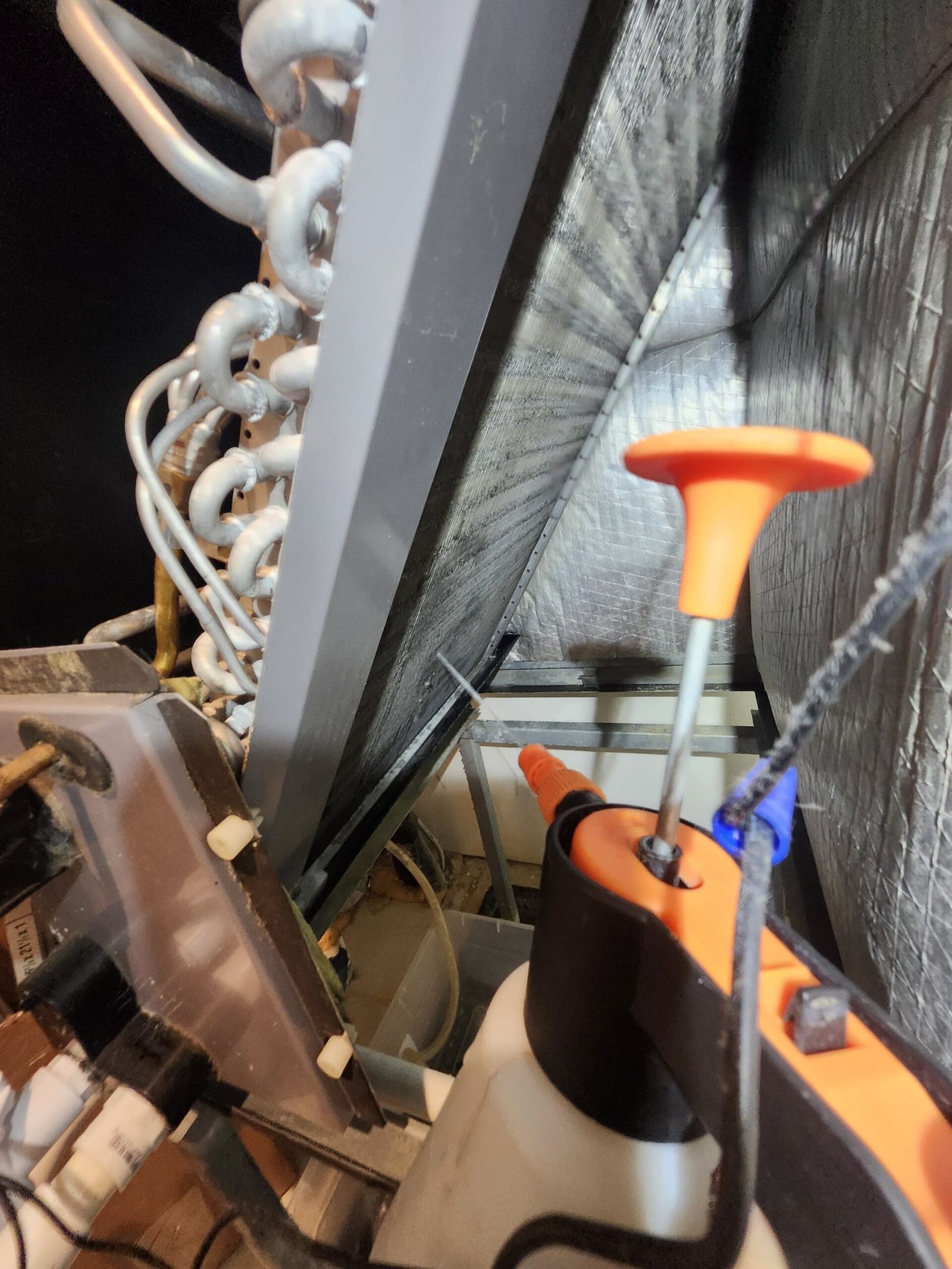 Home Therapist service photo in Tampa, FL 33606