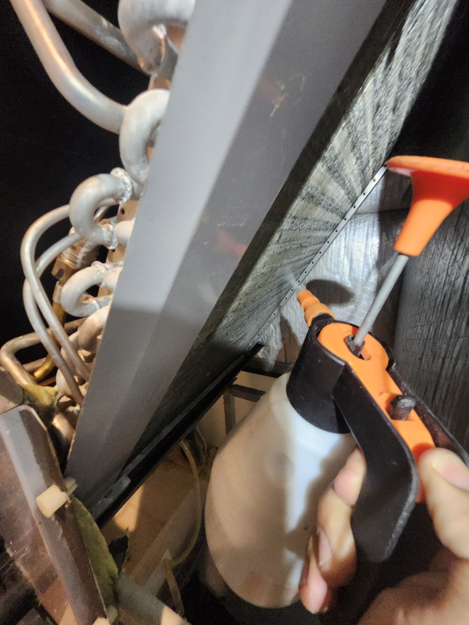 Home Therapist service photo in Tampa, FL 33606