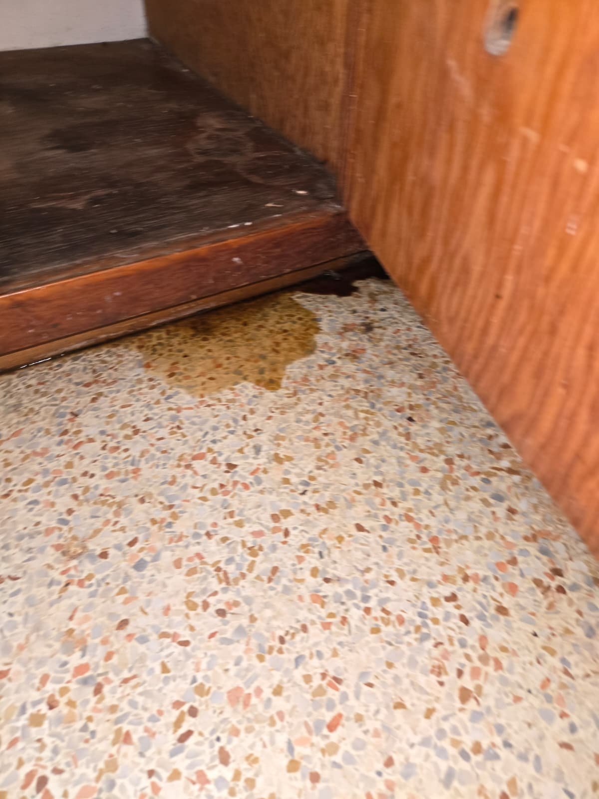 Home Therapist service photo in Largo, FL 33778