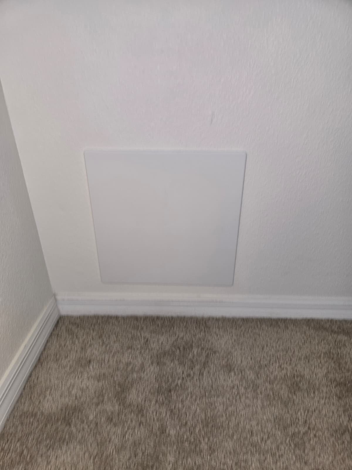 Wall sheetrock partially removed for issue inspection in Wesley Chapel, FL 33545