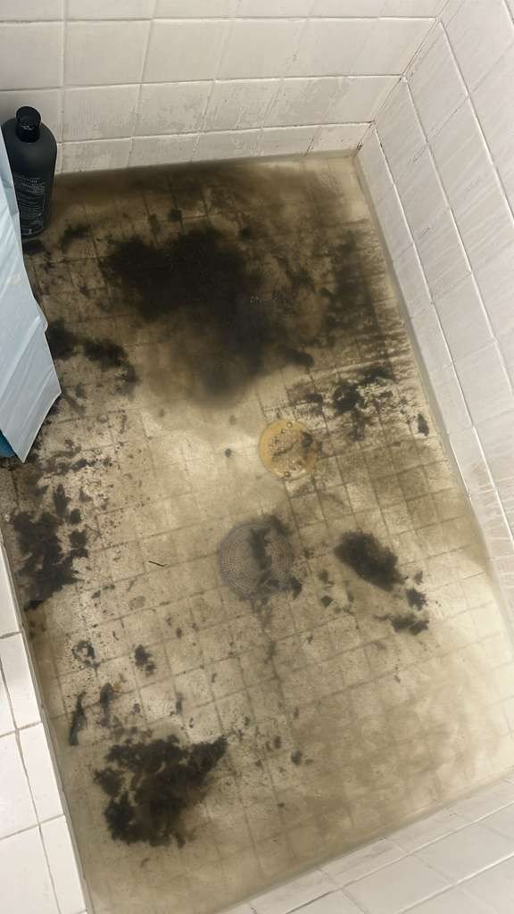 Toilet auger clearing blockage in Tampa, FL 33619 bathroom