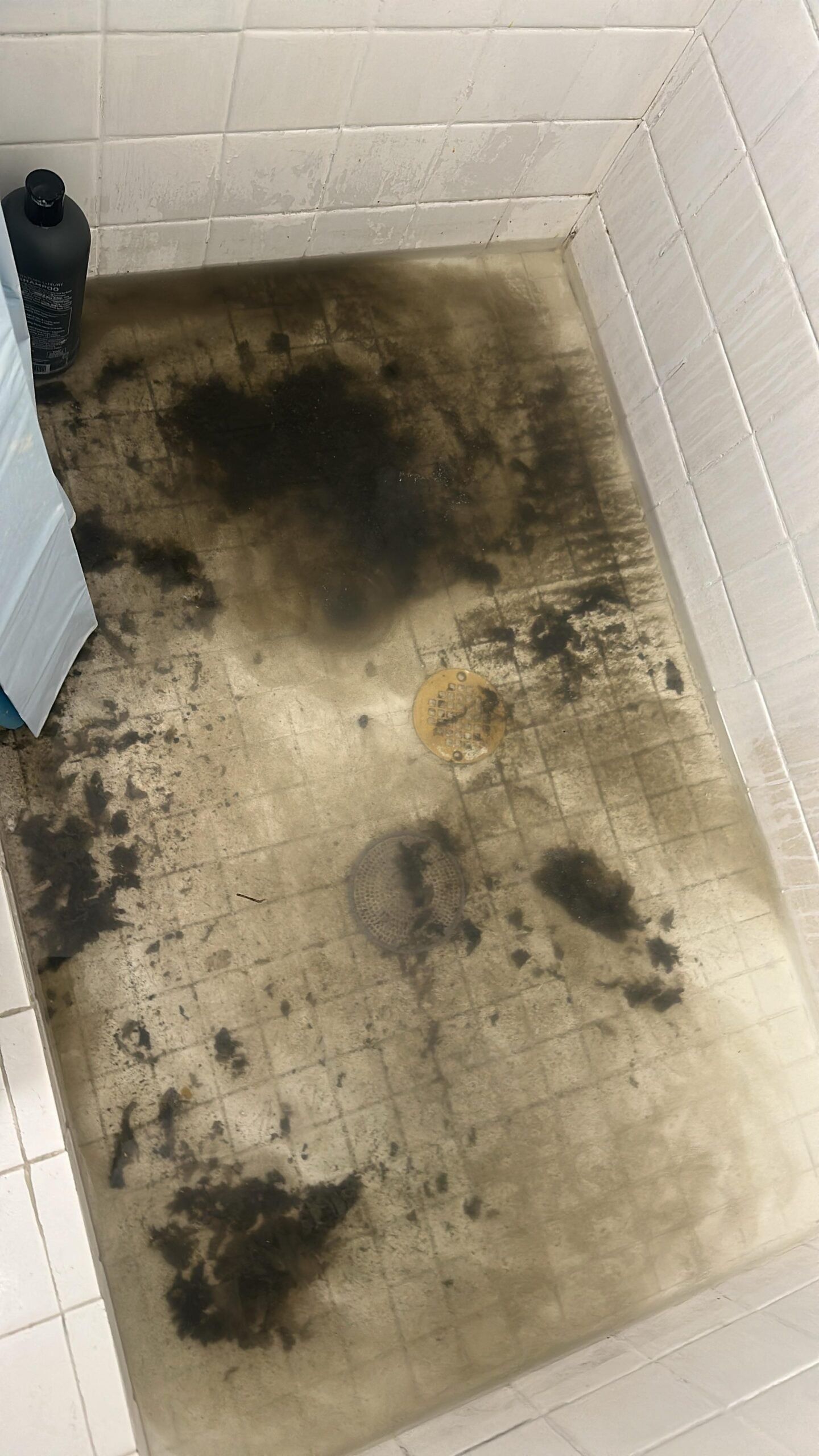 Professional clogged toilet repair using auger in Tampa, FL 33619