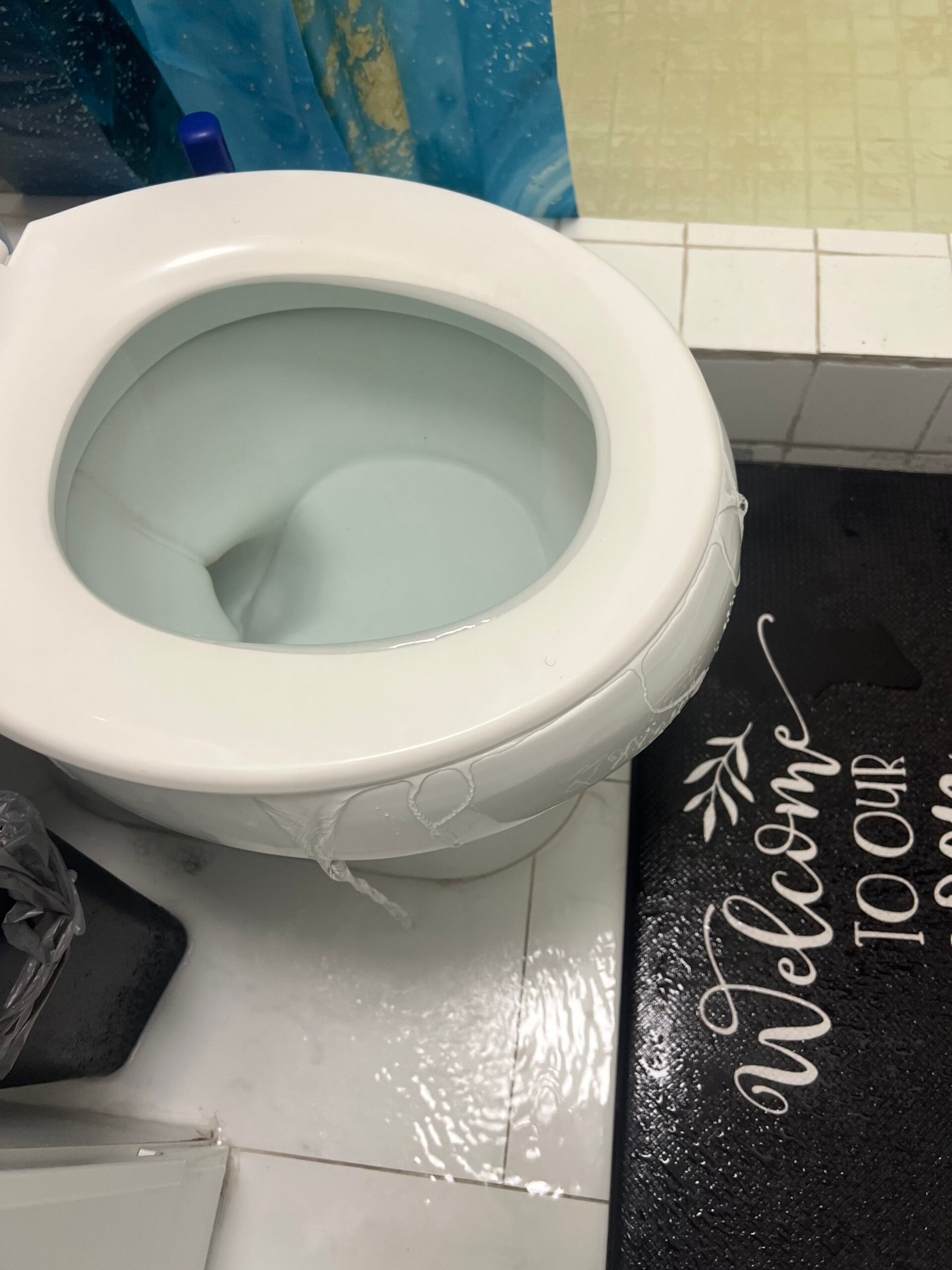 Clogged toilet augering service in Tampa, FL 33619