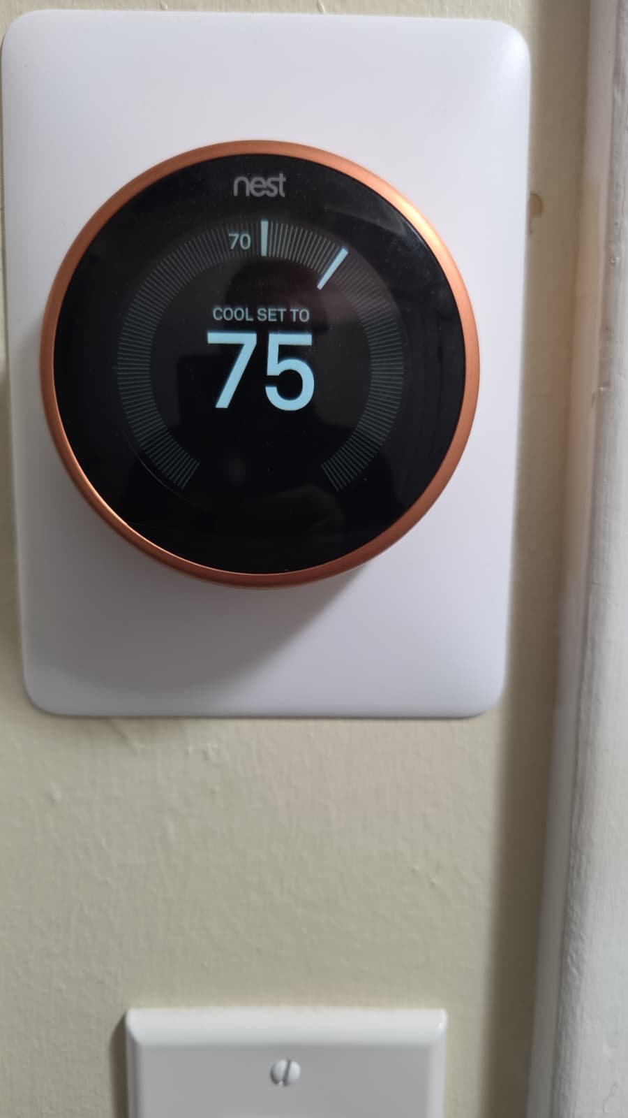 HVAC drain line flushed and cleared during AC maintenance in Tampa, FL 33617