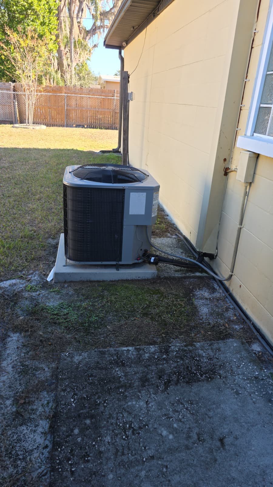 Condenser coil cleaned as part of Premium AC maintenance in Tampa, FL 33617