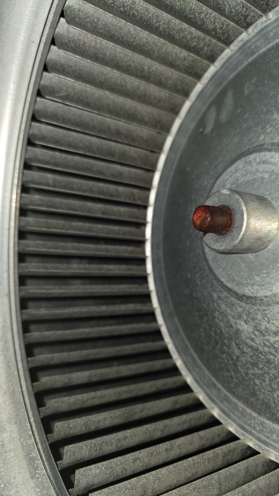 Outdoor AC condenser after full maintenance service in Tampa, FL 33617