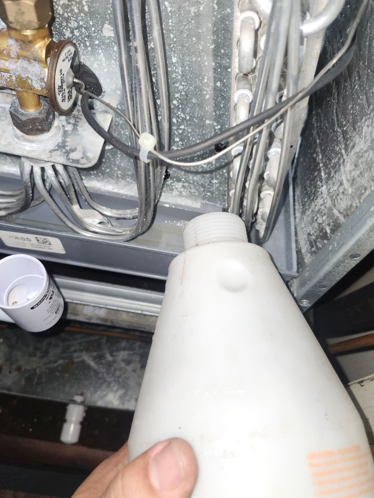 Technician checking AC system performance in St. Petersburg, FL 33705 home