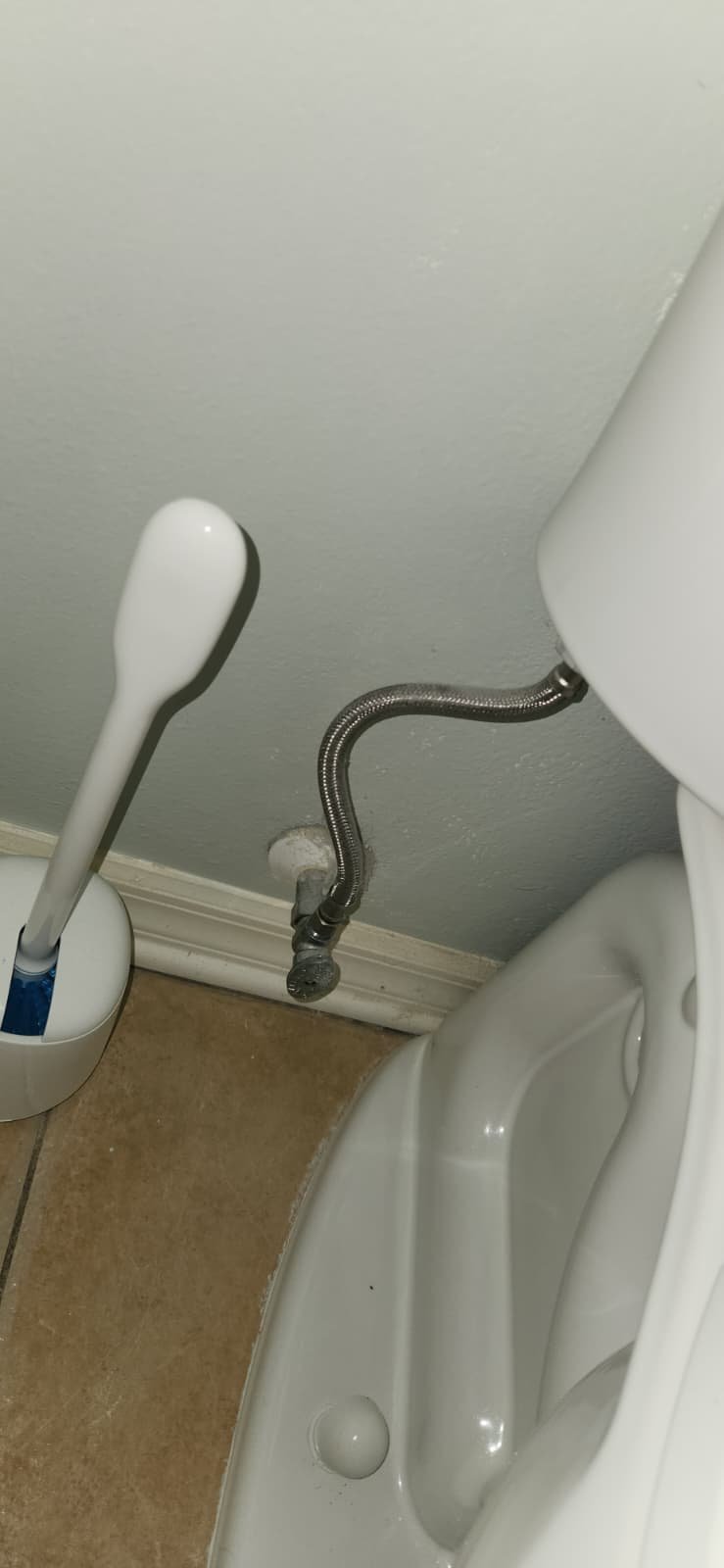 Water heater repair and safety evaluation in Land O' Lakes, FL 34637