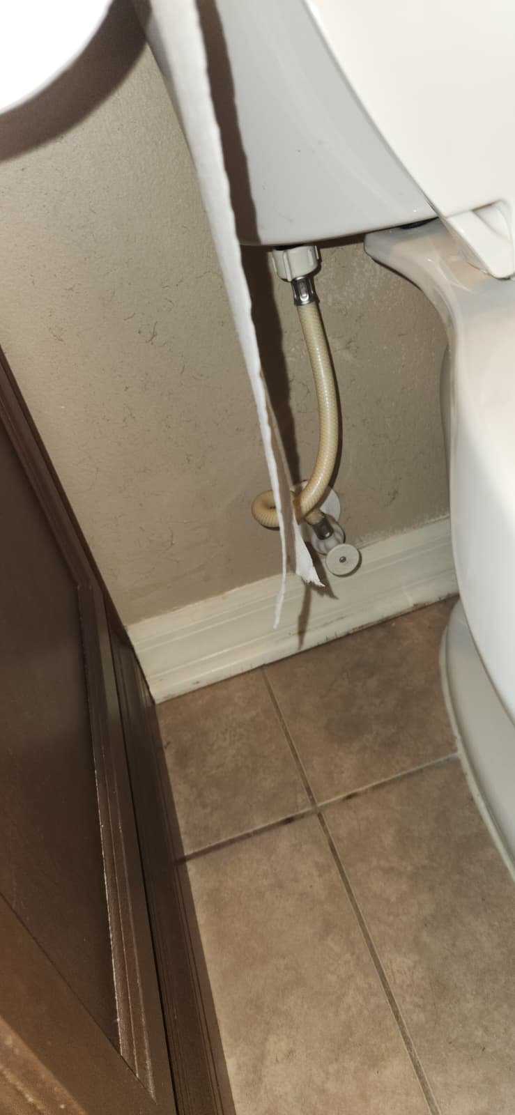 Tank water heater flush during plumbing inspection in Land O' Lakes, FL 34637