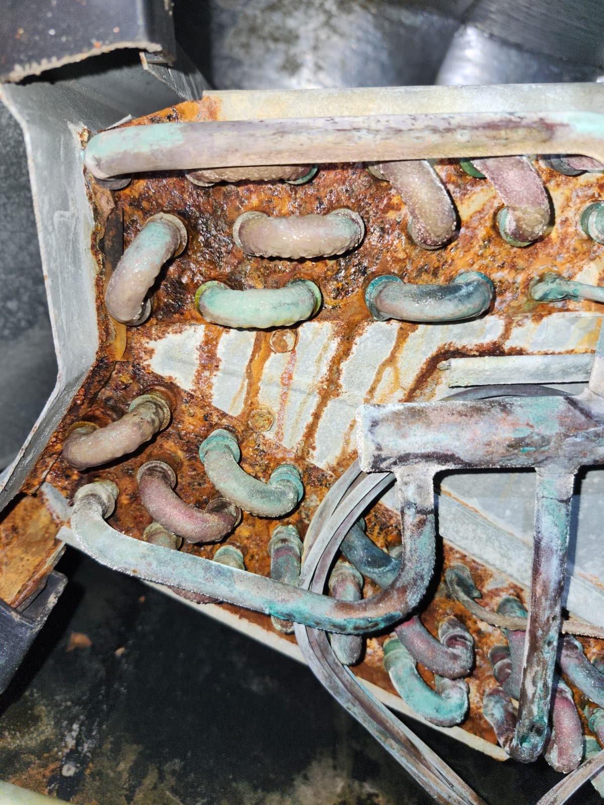 Technician documenting AC replacement recommendations in Tampa, FL 33634