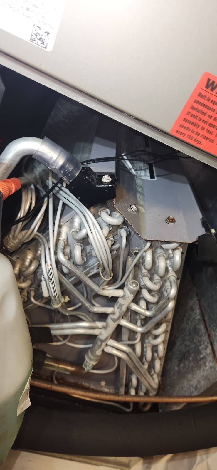 Premium Home Therapy Plan maintenance check in Lutz, FL 33558