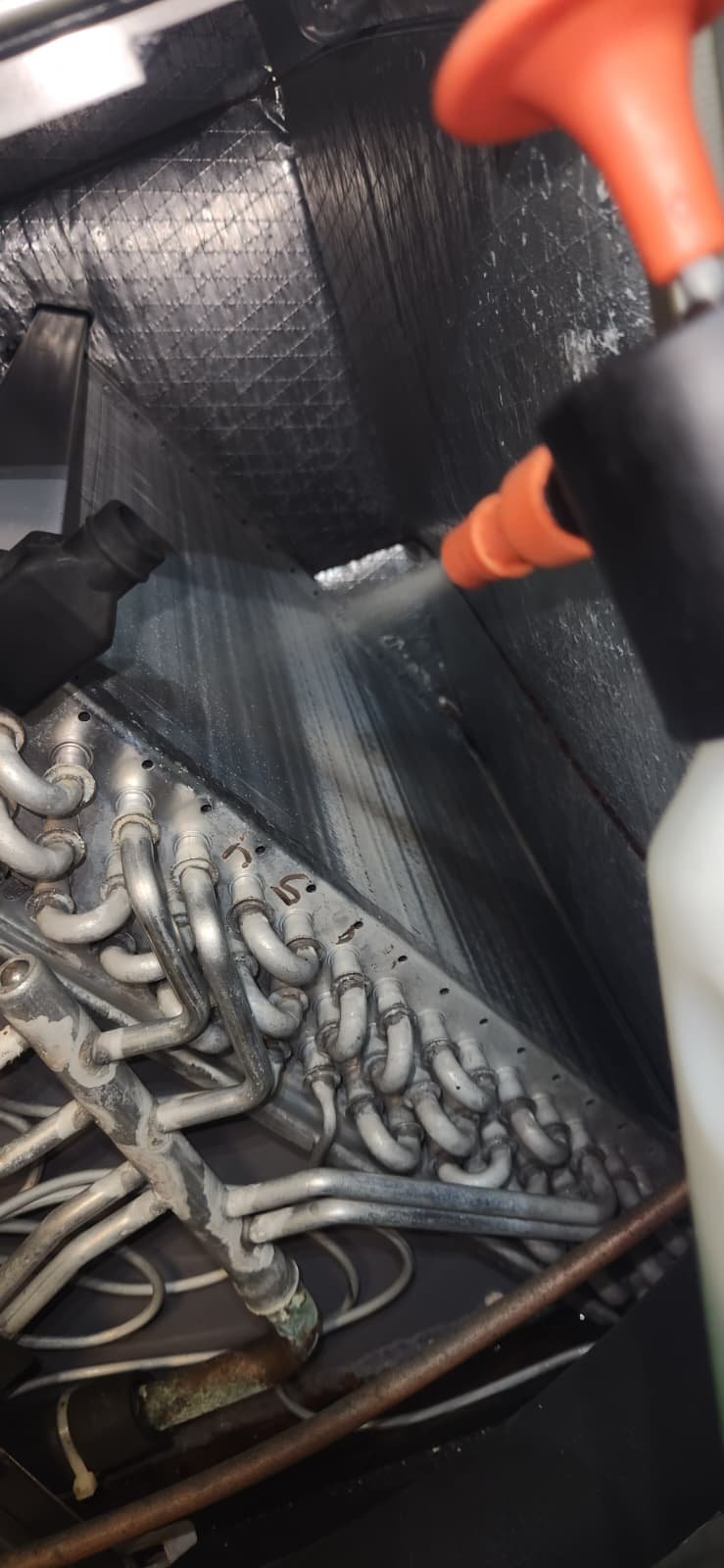 Technician performing scheduled system maintenance in Lutz, FL 33558