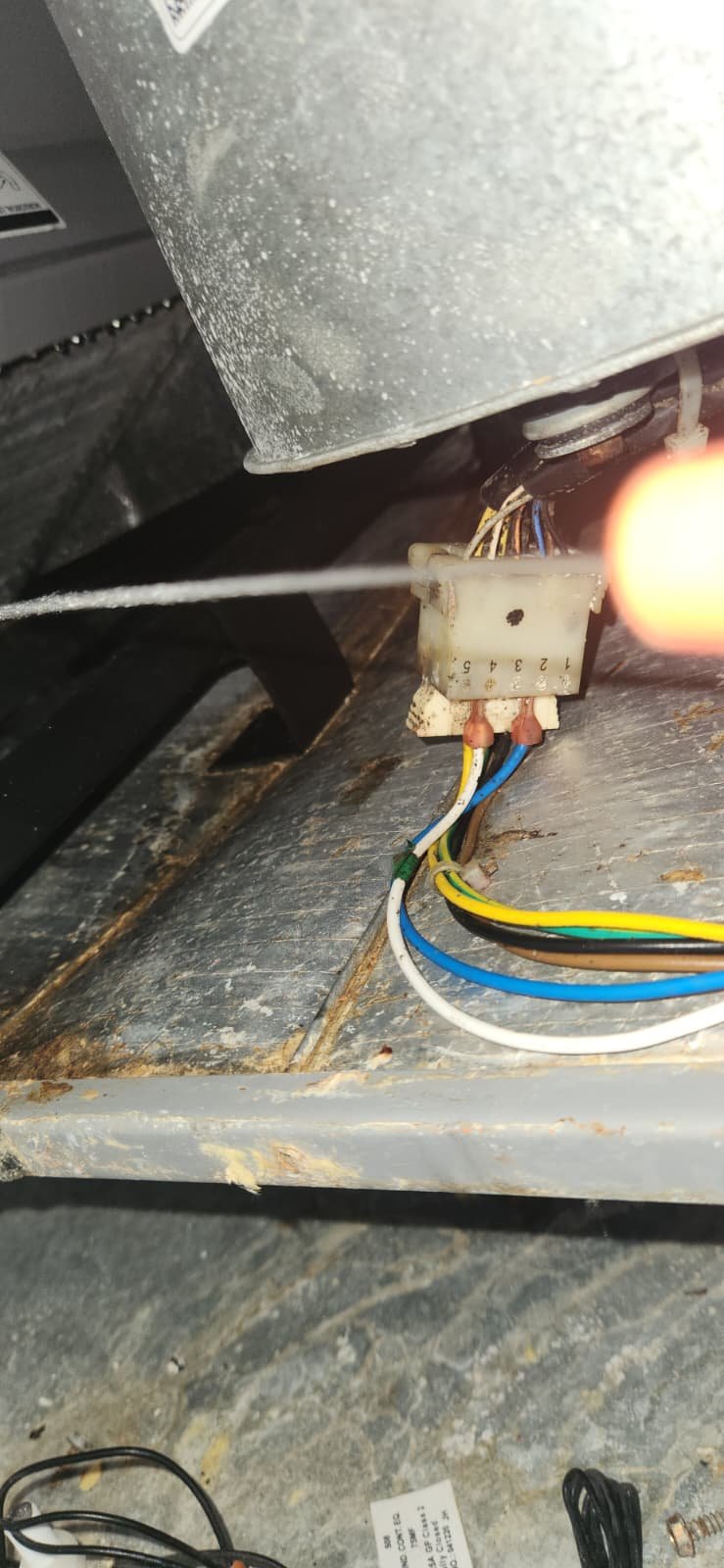 Routine Premium Home Therapy Plan maintenance visit in Apollo Beach, FL 33572