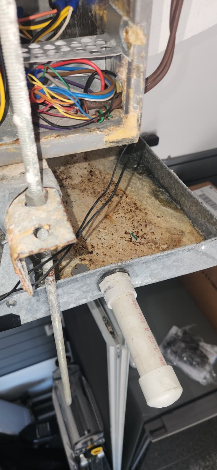 Final check after Premium home maintenance in Apollo Beach, FL 33572