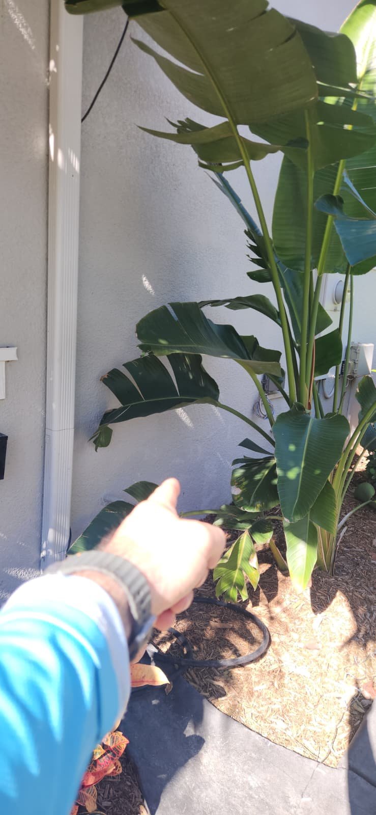 Plumbing system assessment for maintenance in Apollo Beach, FL 33572