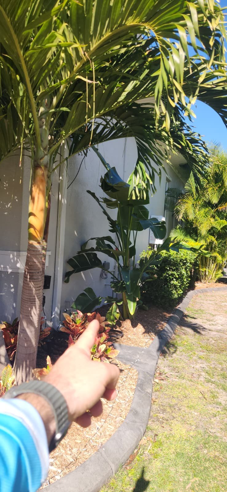 Plumbing maintenance under Premium Home Therapy Plan in Apollo Beach, FL 33572