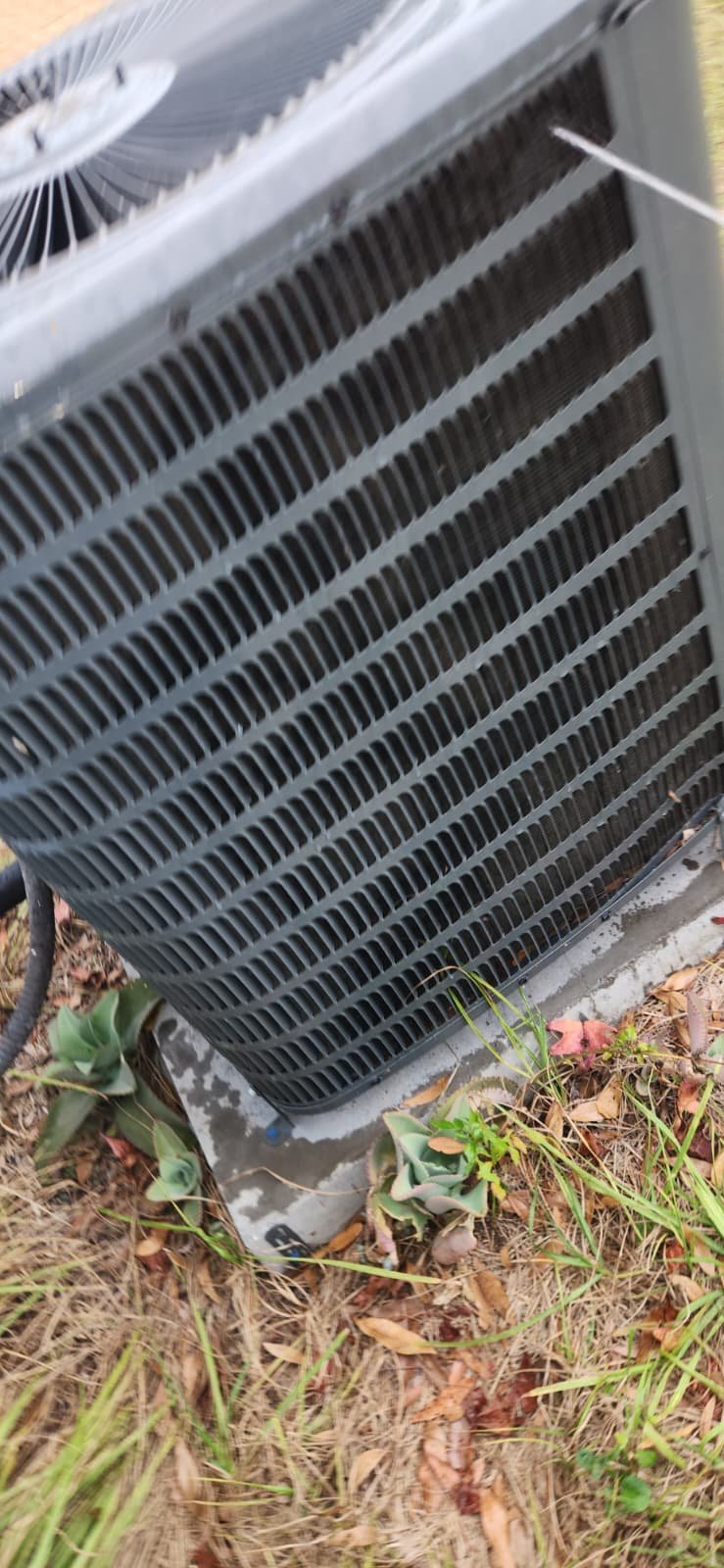 Premium Home Therapy preventive maintenance service in Tampa, FL 33610