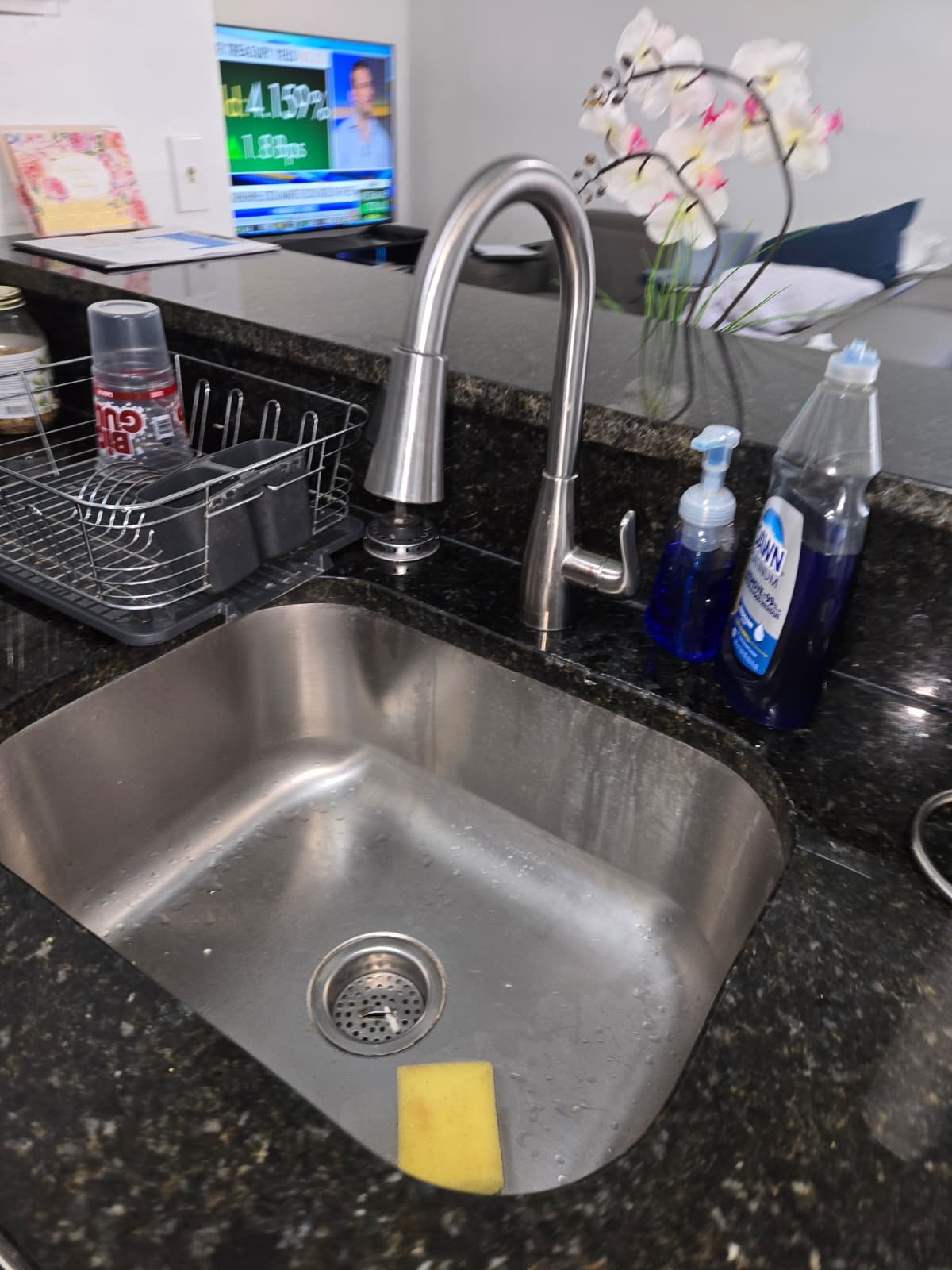 Flexible P-trap under sink noted for upgrade in Palm Harbor, FL 34683 plumbing check