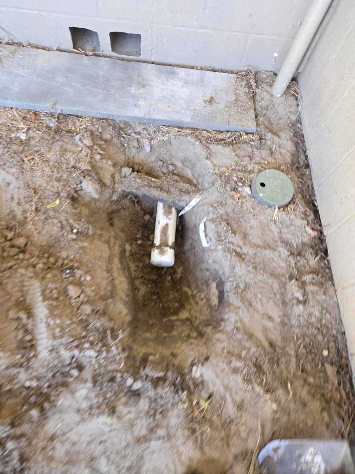 Planning exterior clean-out installation for drainage access in Seffner, FL 33584
