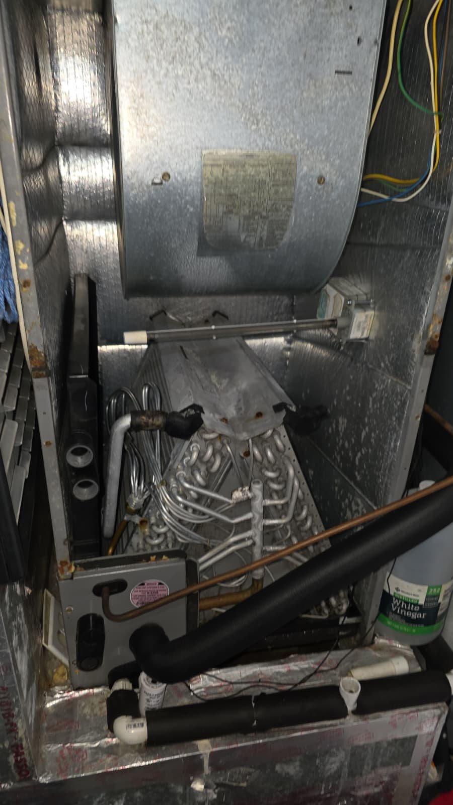 AC maintenance on condenser unit in Treasure Island, FL 33706