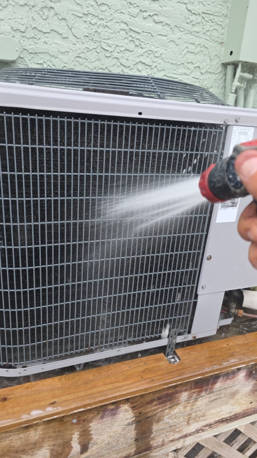 Elite therapy plan system check in Treasure Island, FL 33706