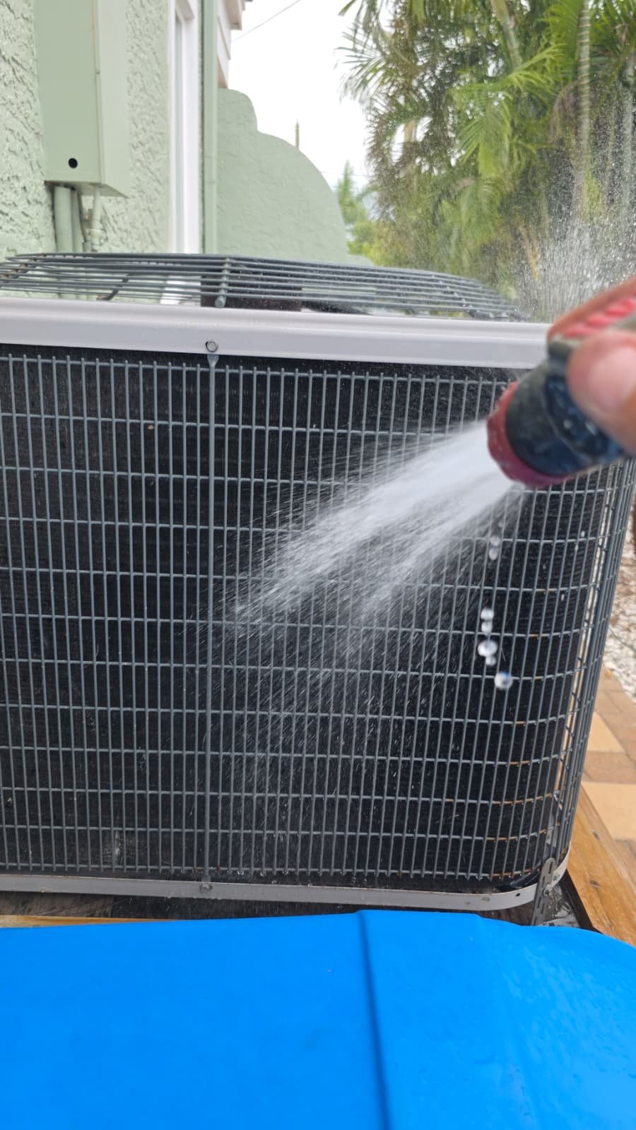 Elite therapy plan system review in Treasure Island, FL 33706