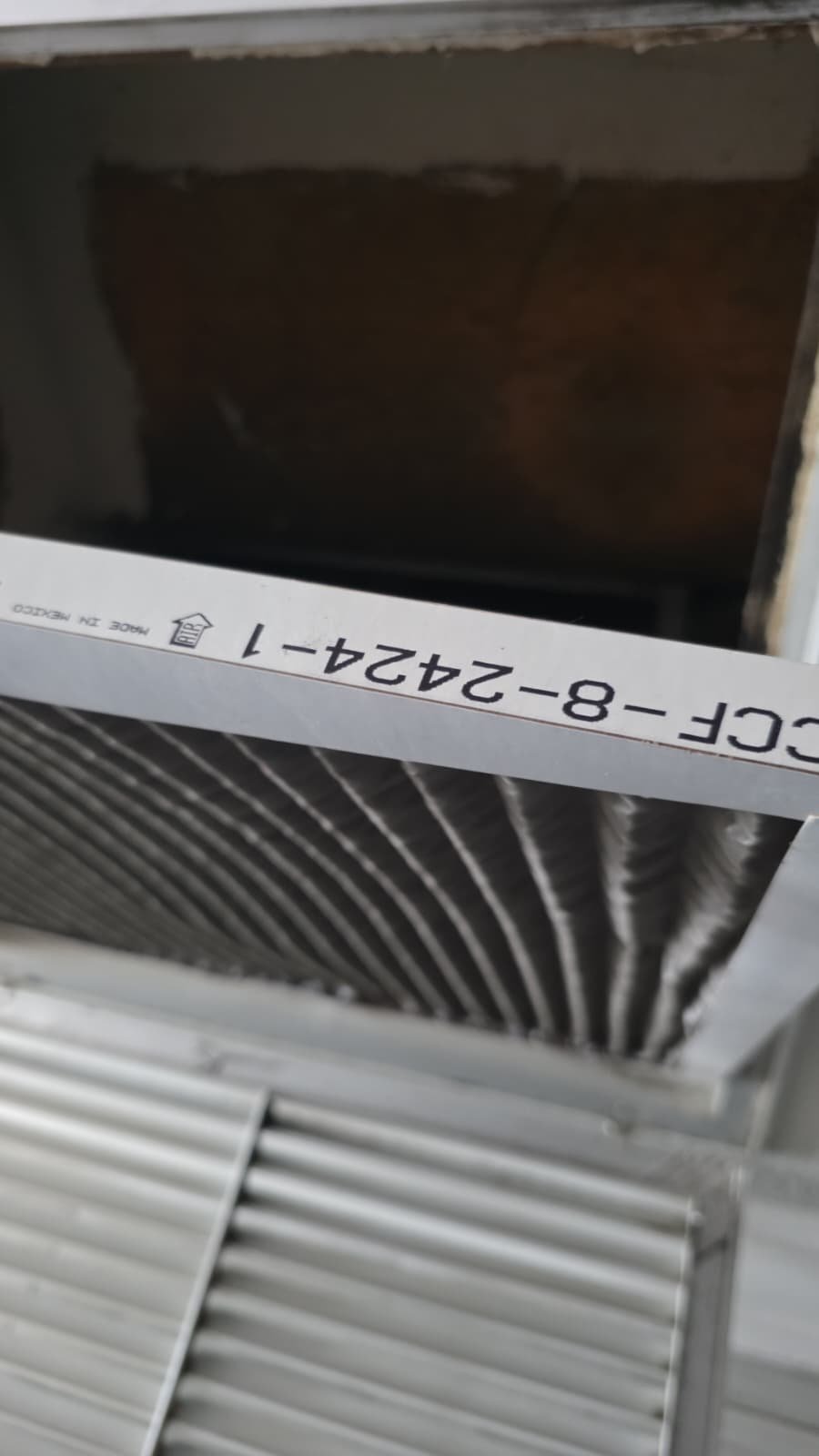 Elite therapy maintenance plan visit in Treasure Island, FL 33706