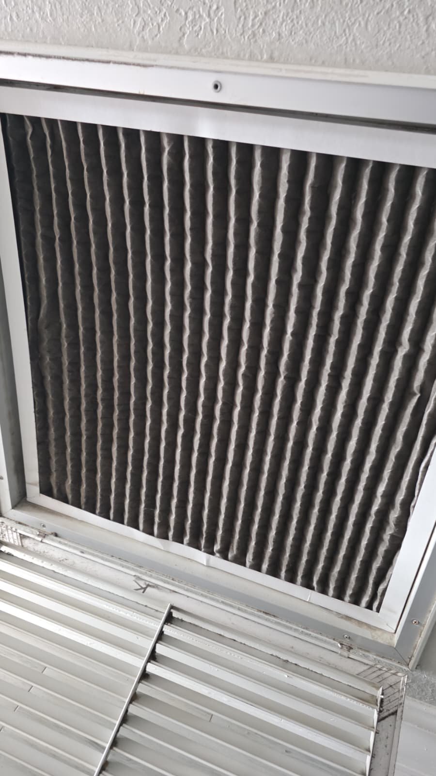 System performance check under elite therapy plan in Treasure Island, FL 33706