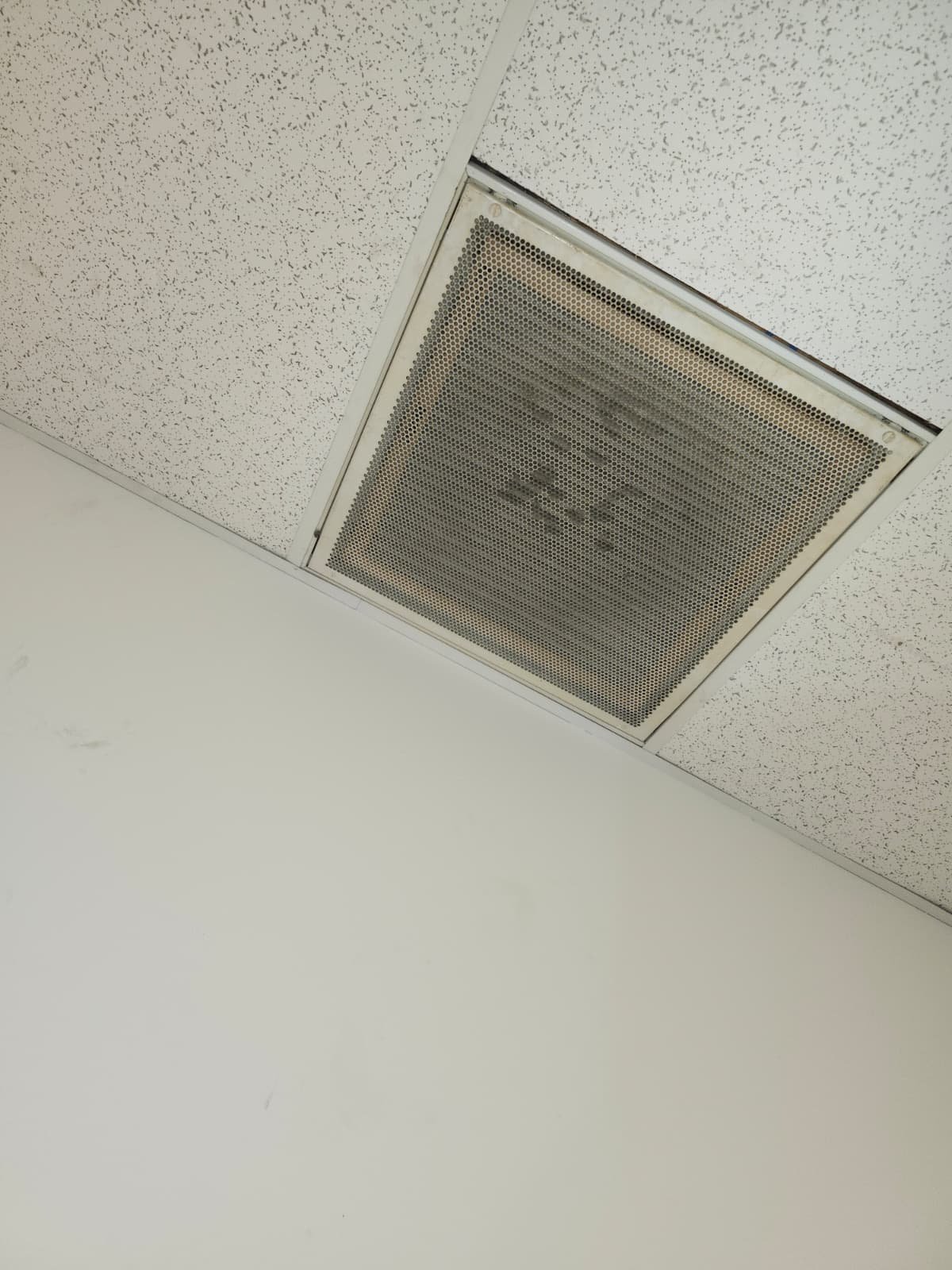 Premium AC service agreement visit in Tampa, FL 33634 attic space