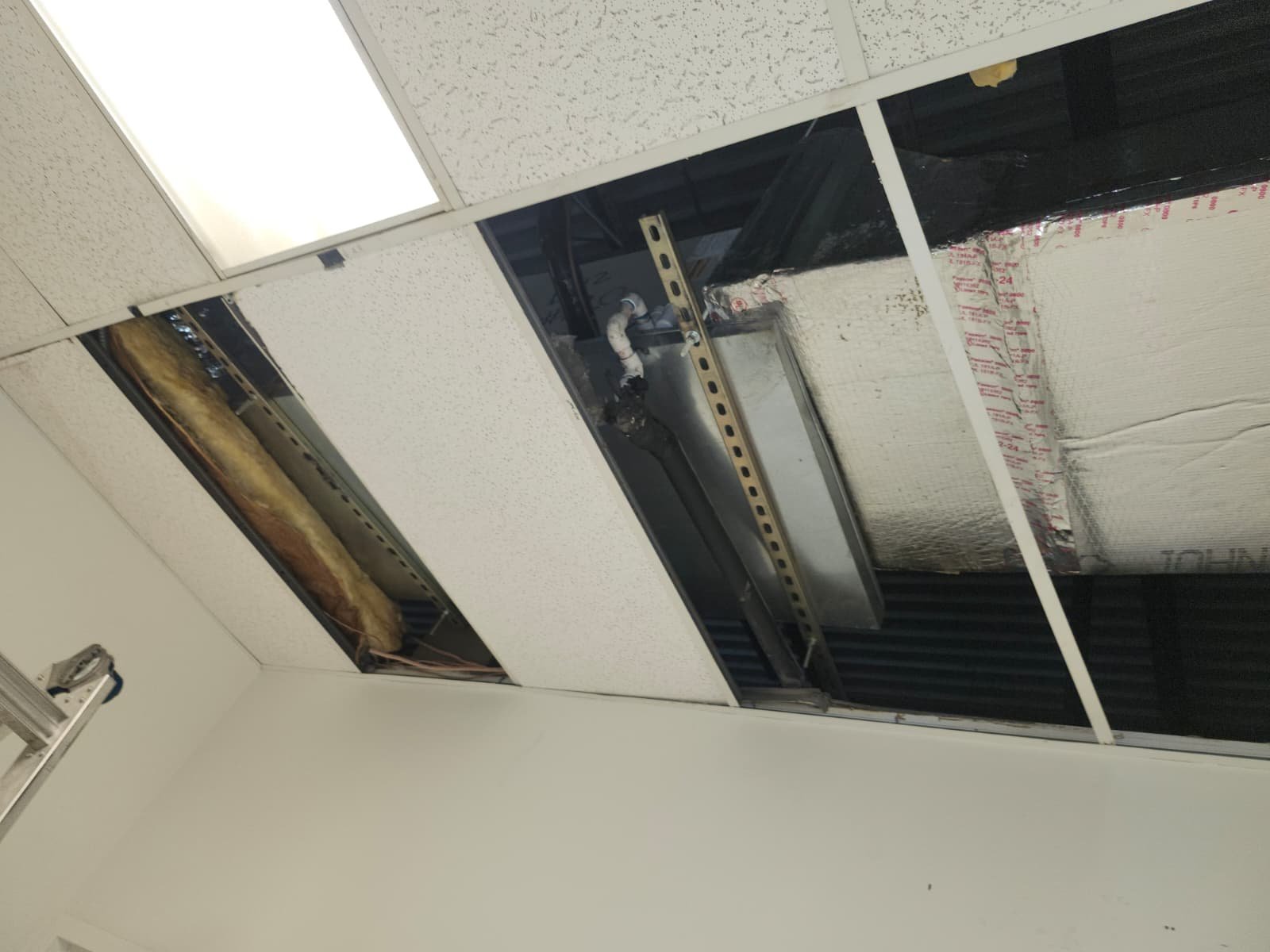 Rusting air handler coil found during AC maintenance in Tampa, FL 33634 home