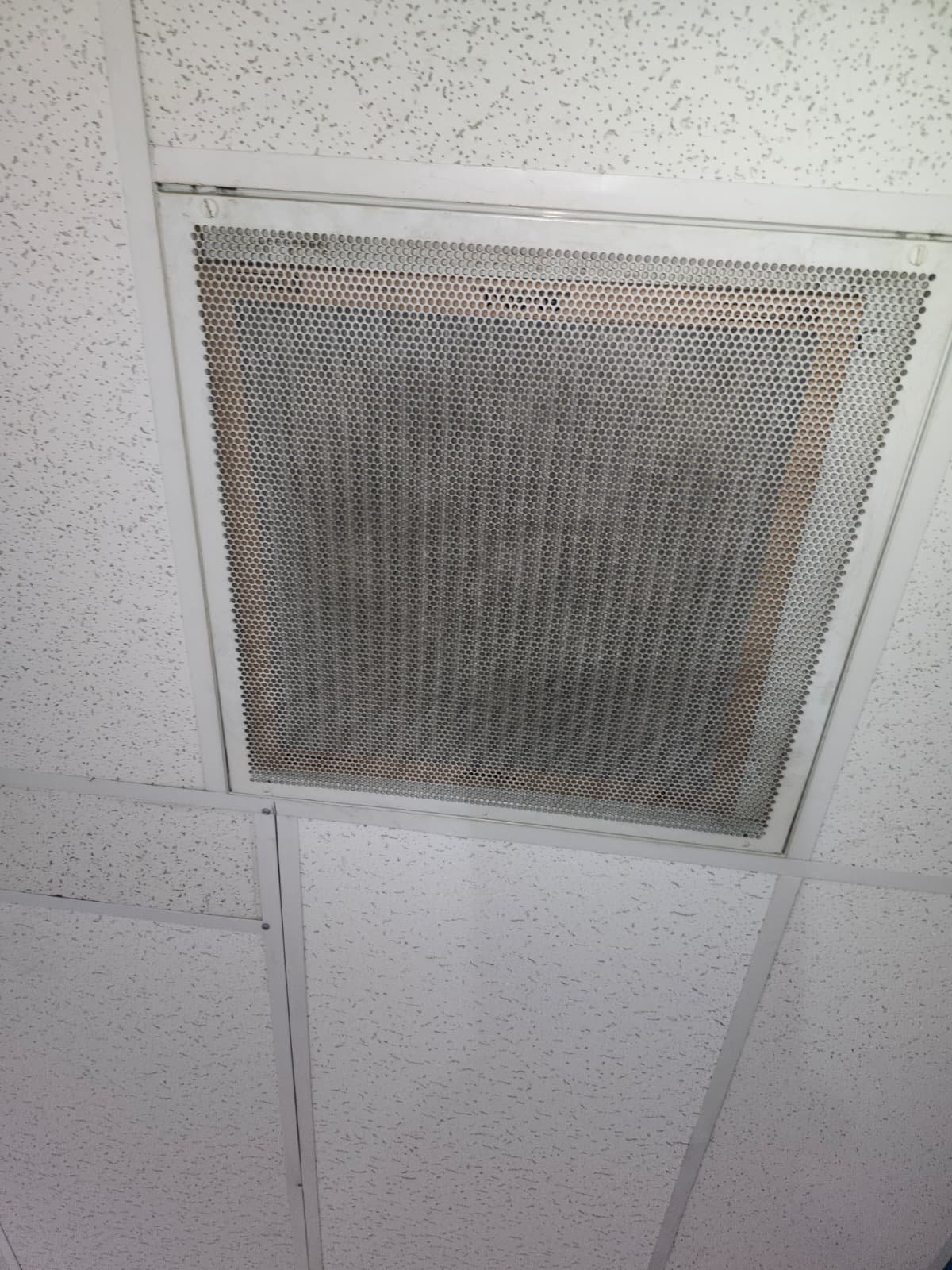 Condensation concerns on AC system during maintenance in Tampa, FL 33634