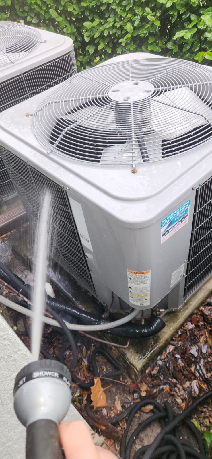 Premium Home Therapy Plan maintenance visit in Tampa, FL 33619