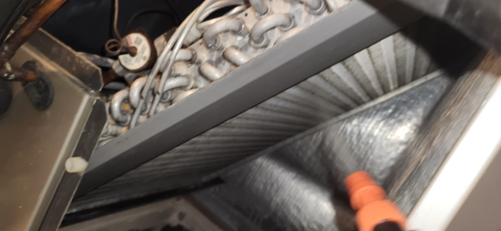 Premium Home Therapy Plan checklist completed in Tampa, FL 33619 home