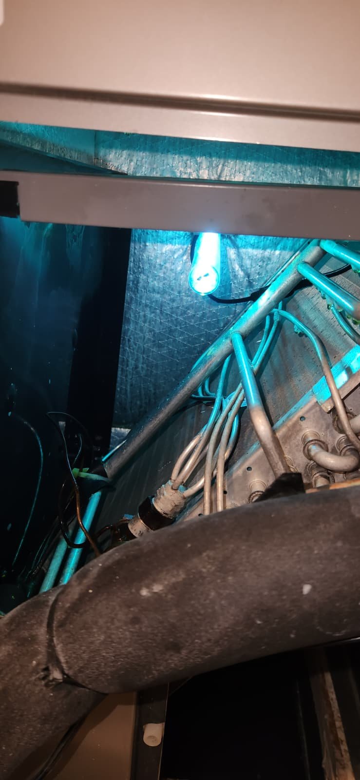 Completed Premium Home Therapy Plan home maintenance service in Tampa, FL 33619