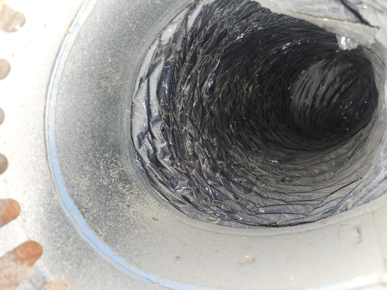 Home Therapist service photo in Lutz, FL 33558