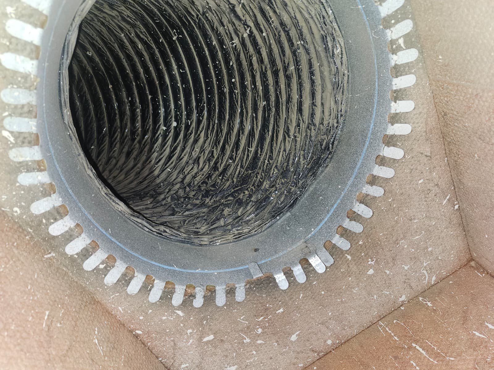 Home Therapist service photo in Lutz, FL 33558