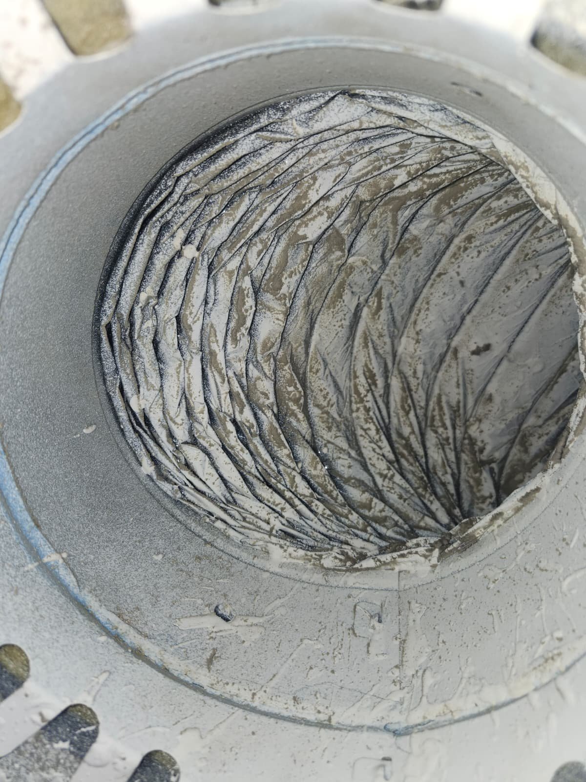 Home Therapist service photo in Lutz, FL 33558