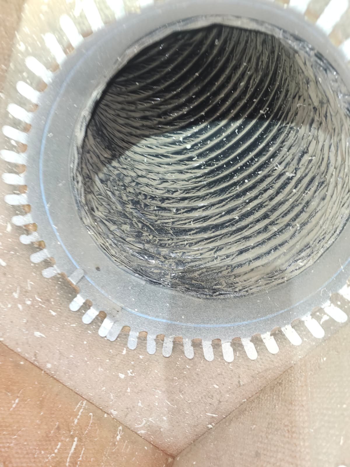 Home Therapist service photo in Lutz, FL 33558