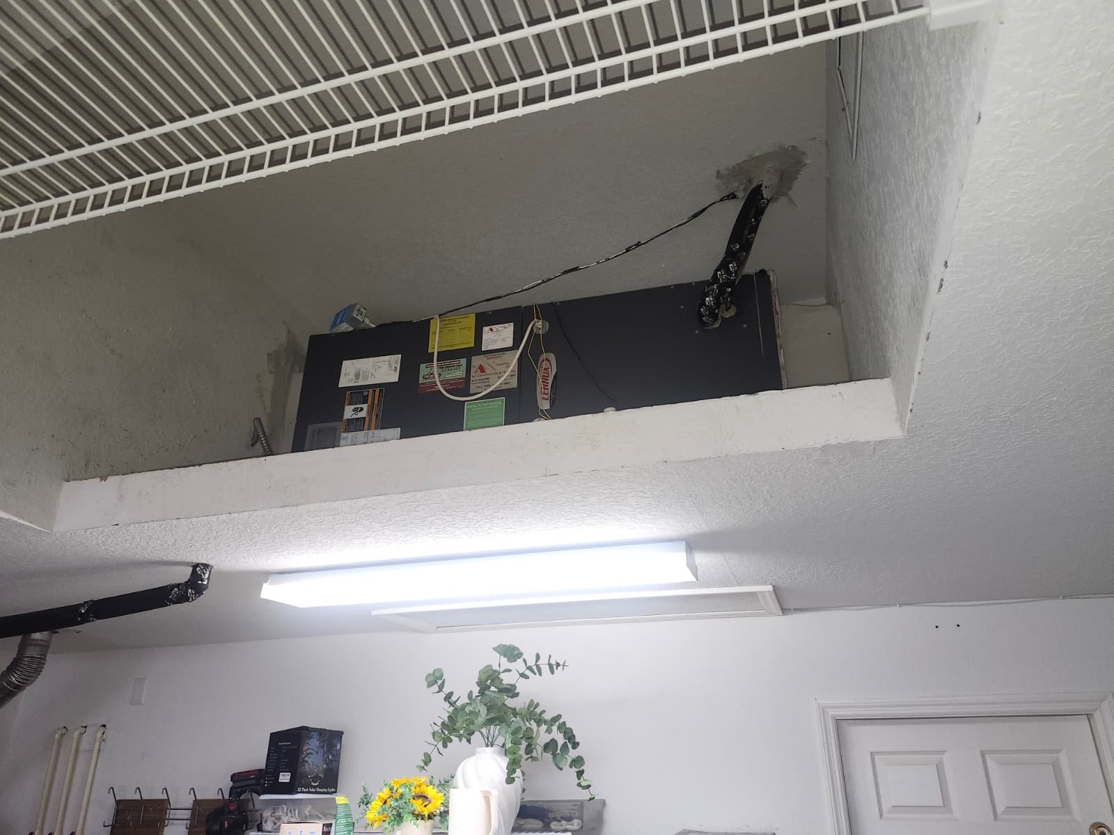 Home Therapist service photo in Lutz, FL 33558