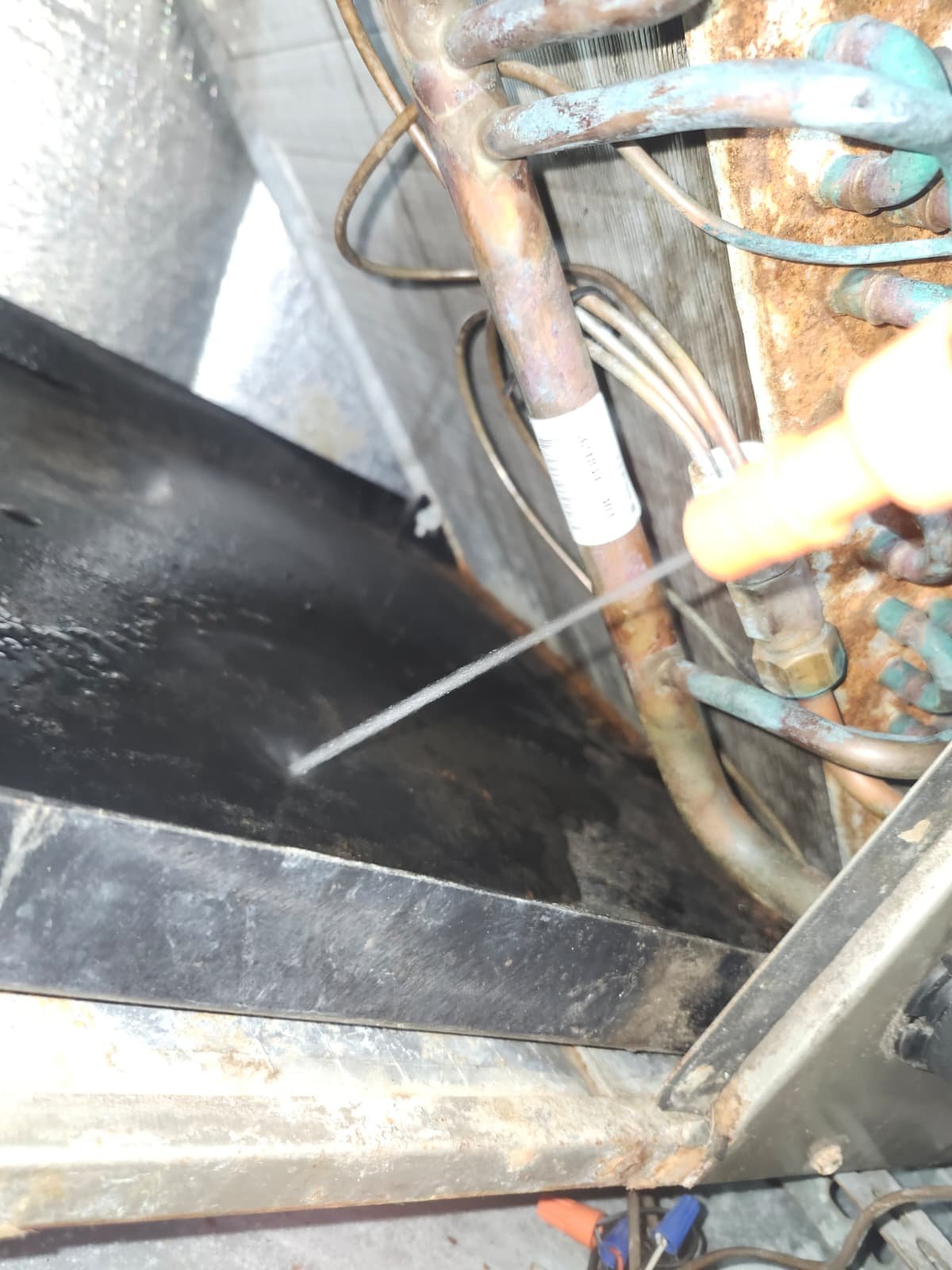 Commercial HVAC blower and condenser components checked in Tampa, FL 33634