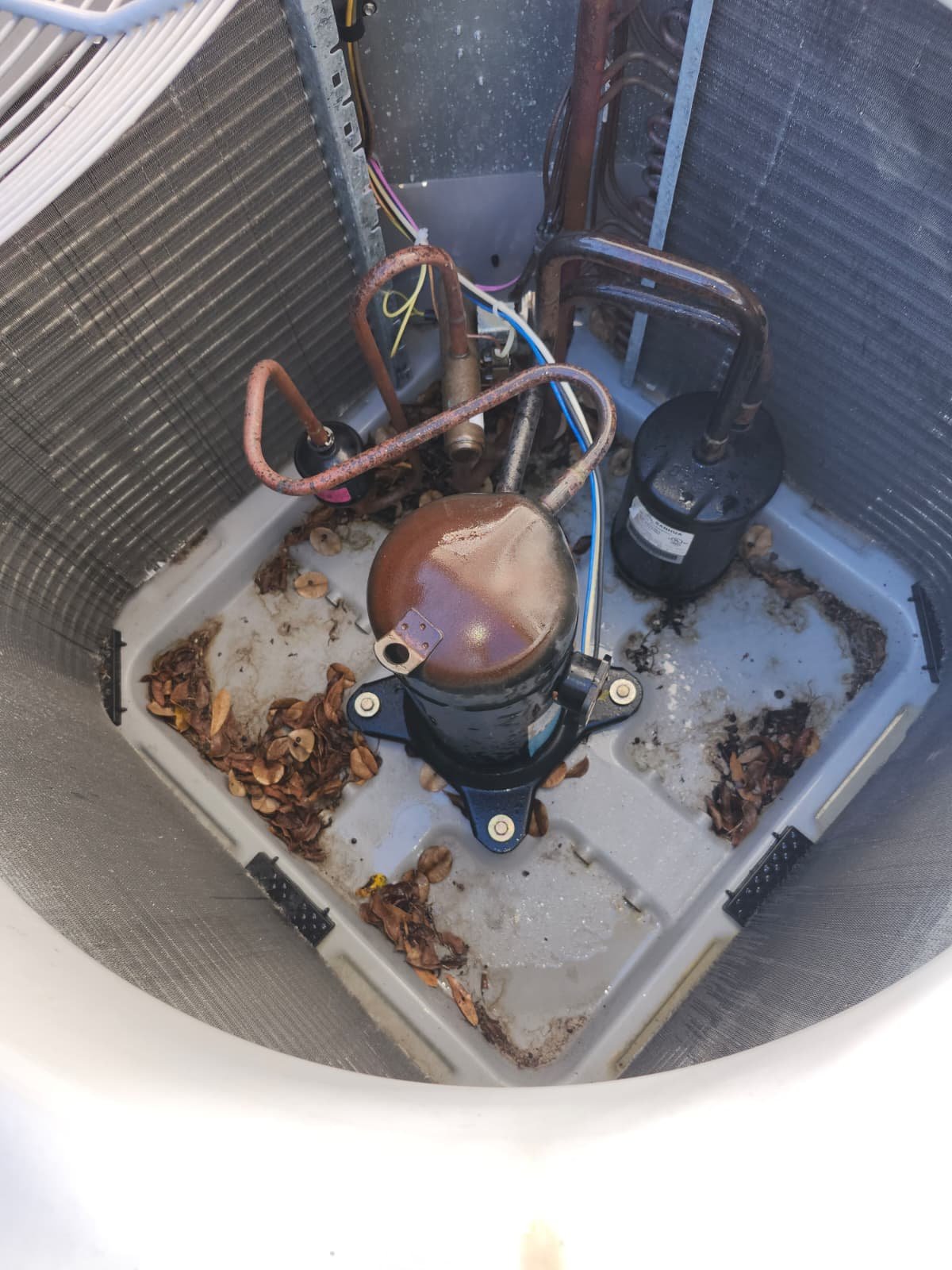 Premium HVAC therapy maintenance plan in New Port Richey, FL 34654